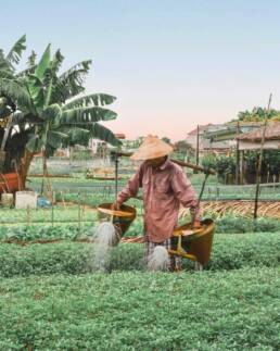 Photoshoot at Tra Que vegetable village